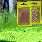 Freshwater fish tank carpet decoration with mini leaf sprout growth