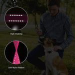 Premium pink reflective dog collar showing high visibility nighttime stitching