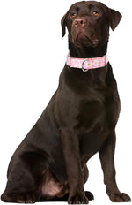 YOUALSO adjustable pet collar highlighting the durable colorfast nylon fabric