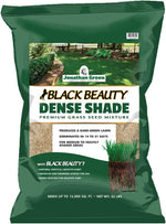 Jonathan Green (10622) Black Beauty Dense Shade Grass Seed - Cool Season Lawn Seed (1 lb) | Grows Well in Medium to Densely Shaded Areas - Image 10