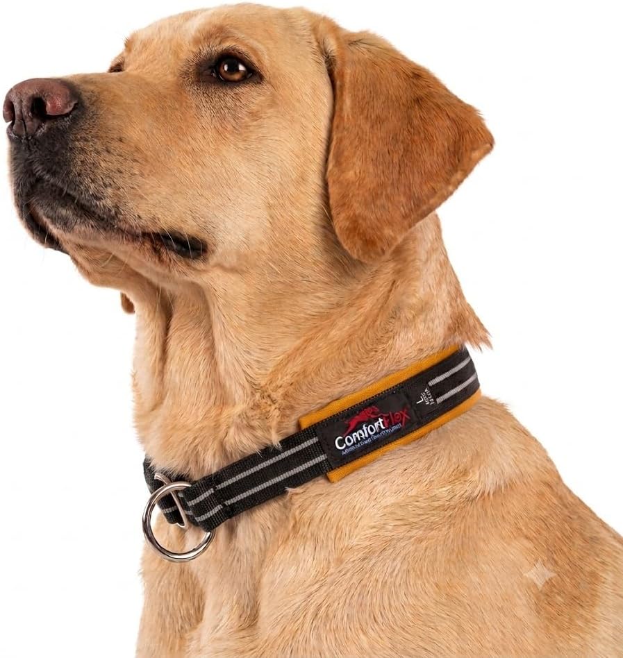 ComfortFlex small martingale collar front view
