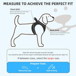 PUPTECK pet harness collar and leash set laid out flat