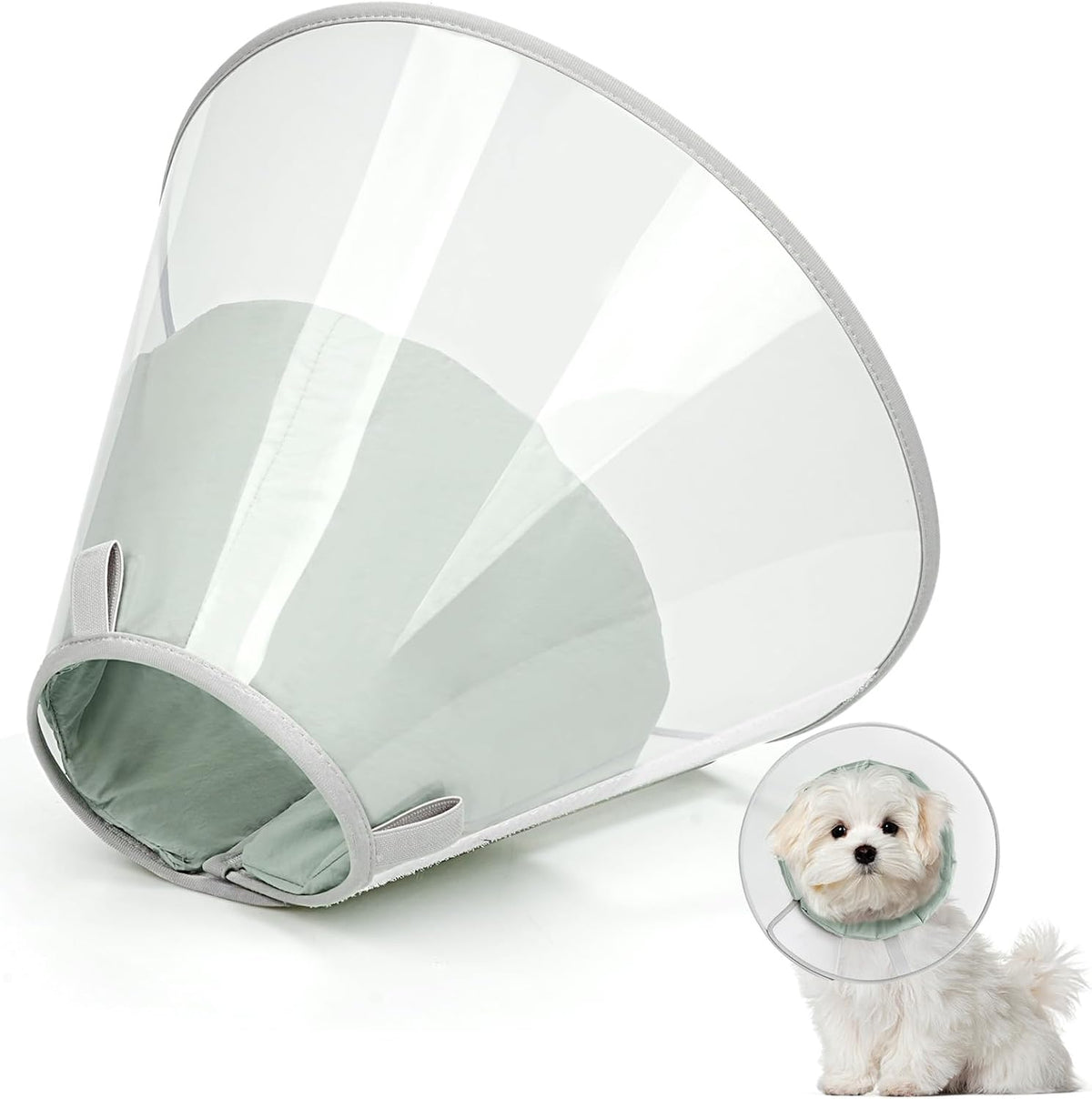 Joypig protective cone for dogs showing secure neck fit