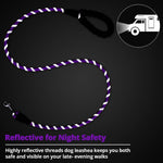 Jenico shock absorbing bungee dog lead