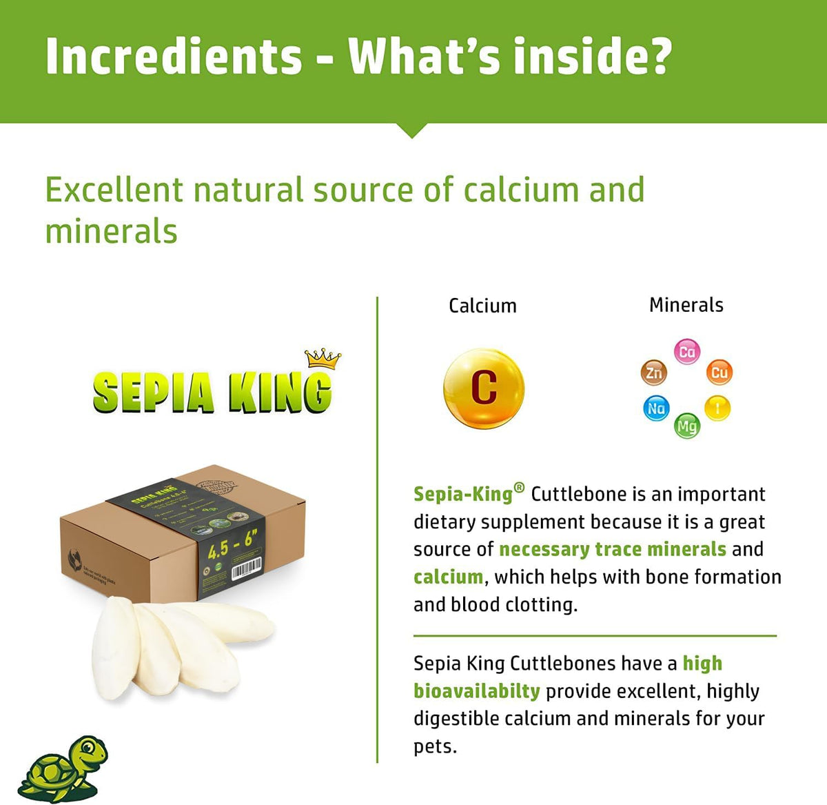 Premium 100 percent natural calcium source pieces measuring four point five to six inches