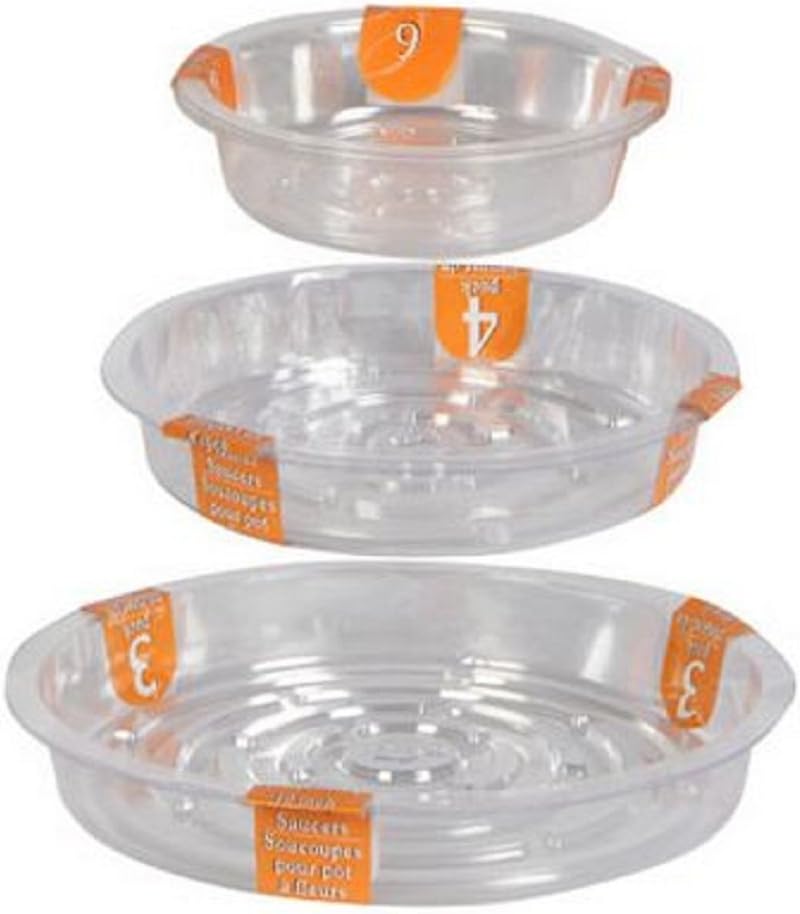 Garden Collection plant pot saucers placed under indoor potted plants
