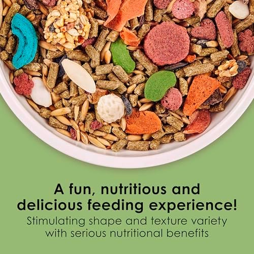 Nutritially fortified small pet food for dental and digestive wellness