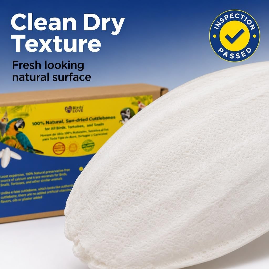 Birds LOVE Calcium Cuttlebone Pack for budgies and cockatiels package back details.