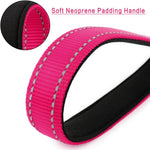Plutus Pet pink 10 inch leash displaying the integrated reflective safety stitching.