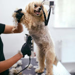 Side profile view of the premium one sixteenth inch pet clipper blade.