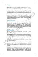 Pocket Tutor Surface Anatomy - Image 10