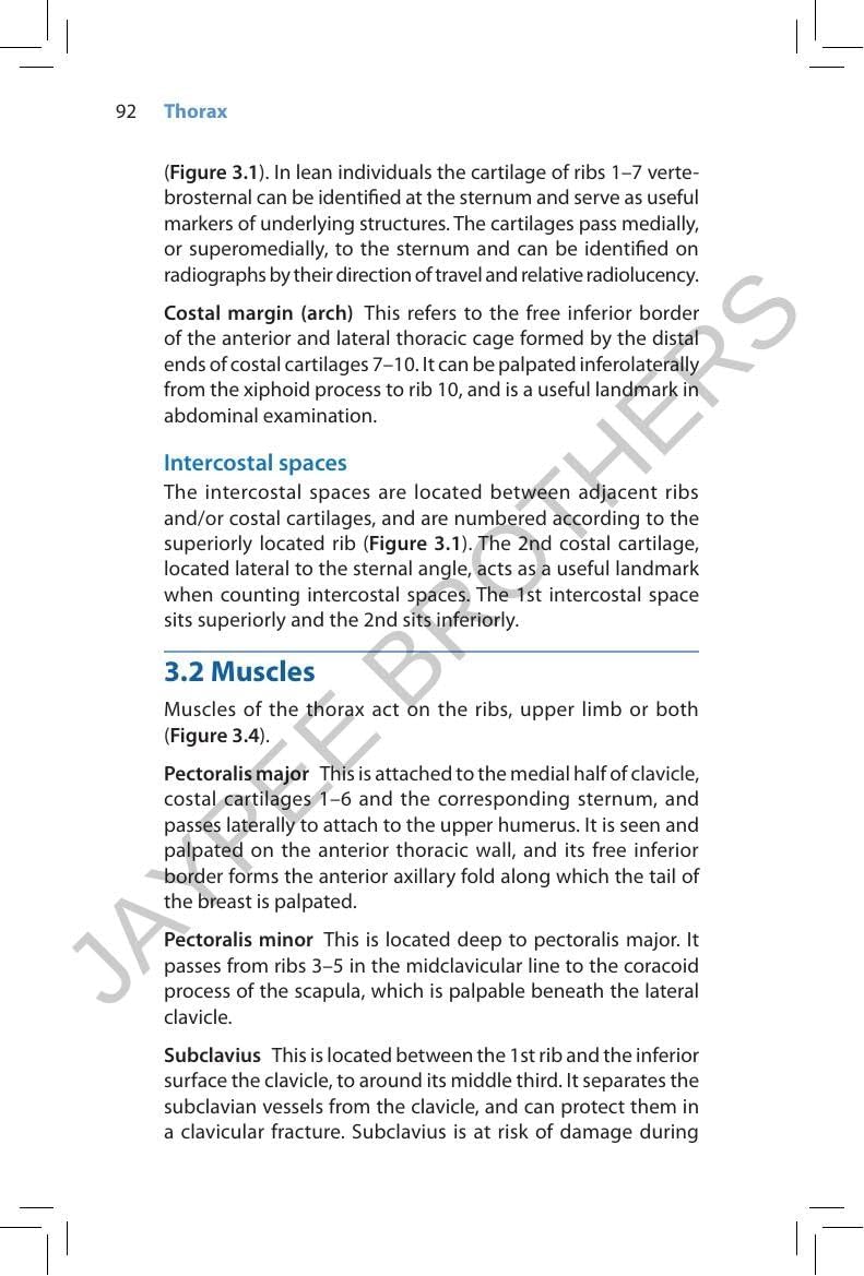 Pocket Tutor Surface Anatomy - Image 10