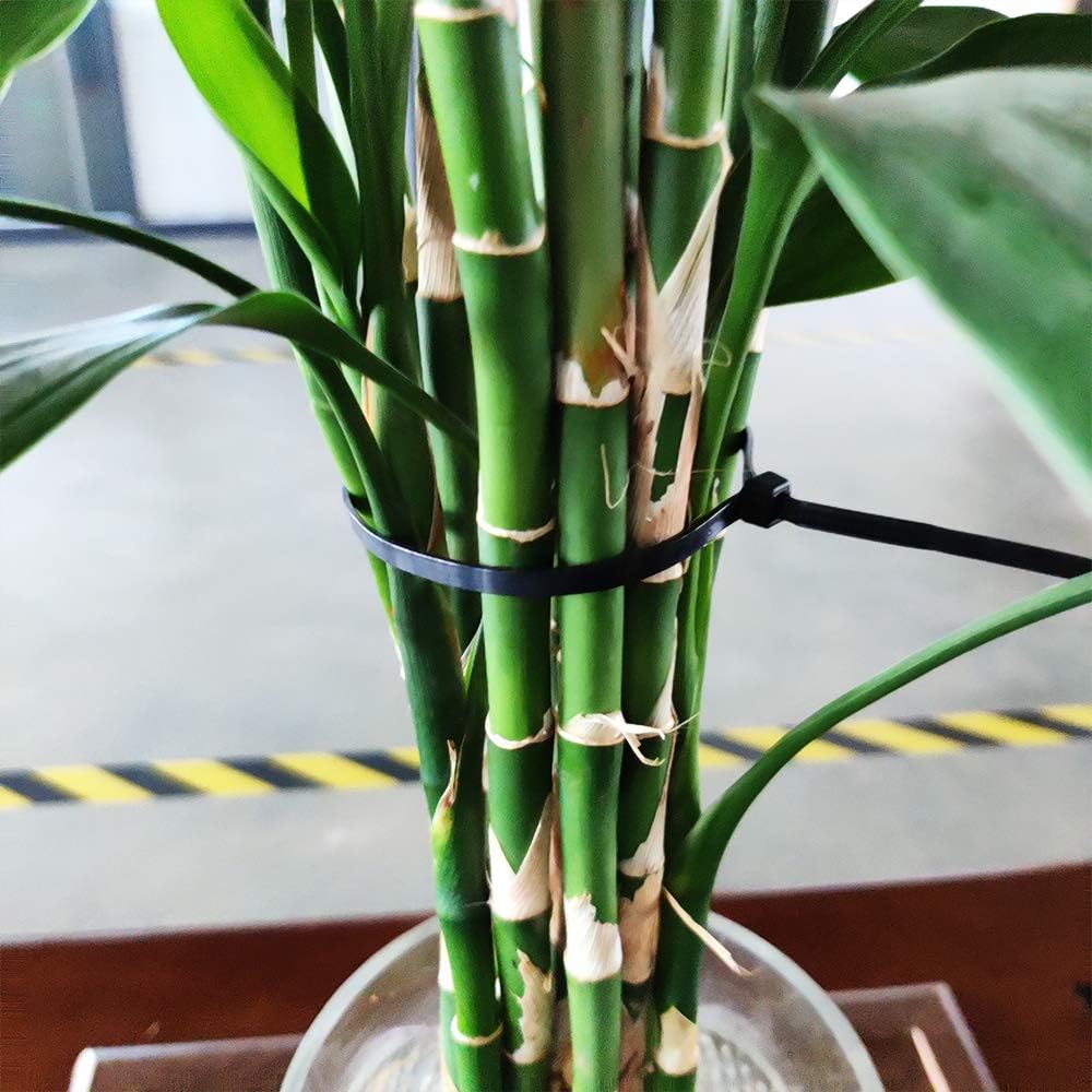 UV black wire ties showing width and texture.