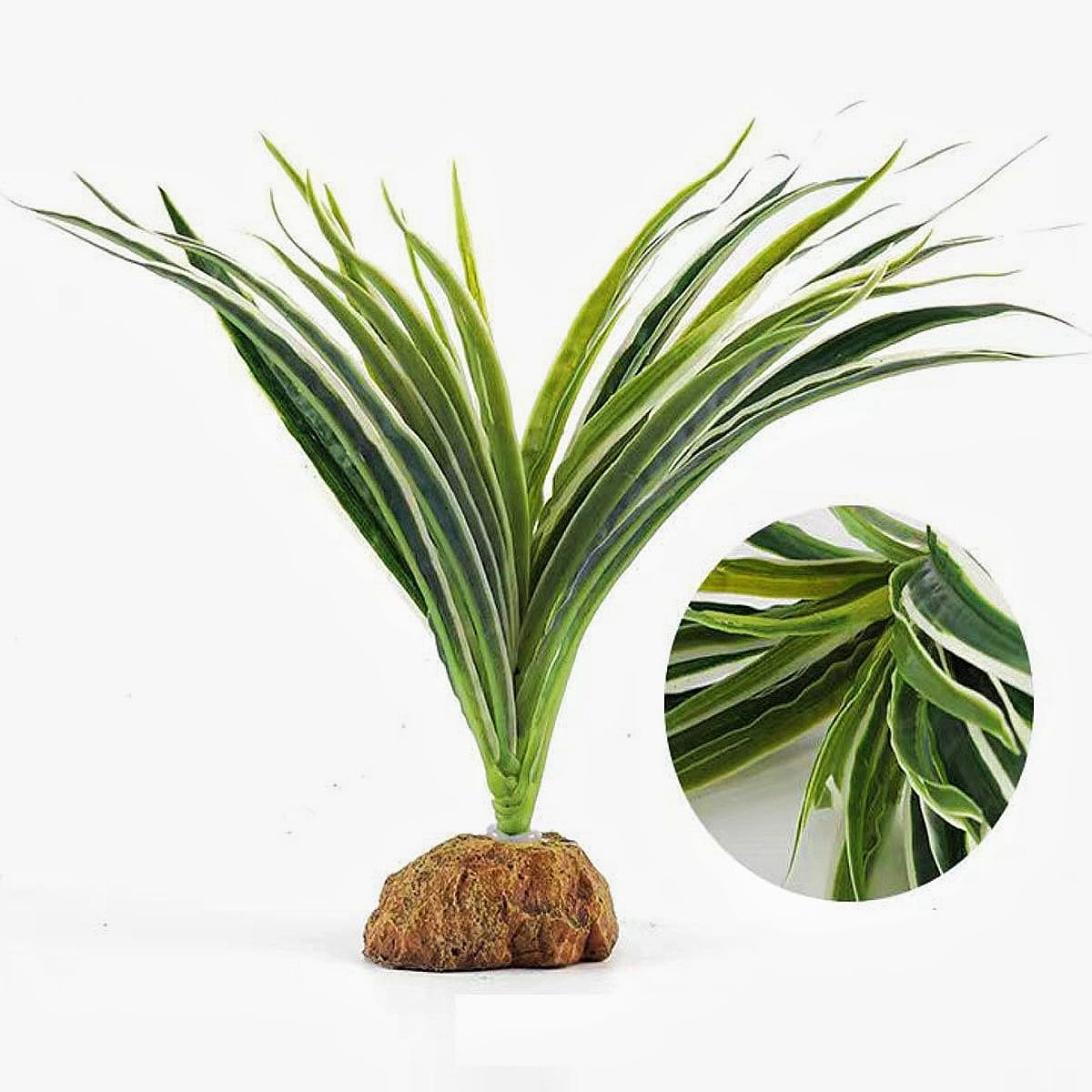 Artificial plant with water droplets for chameleon hydration.