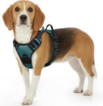 Eagloo dog harness front view showing dark green pet vest design