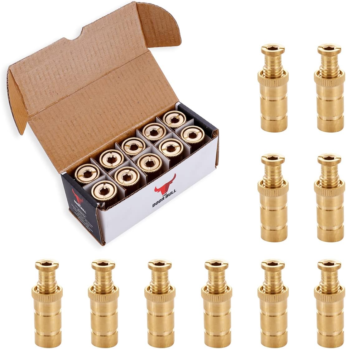 Complete set of 20 brass pool anchors and bolts