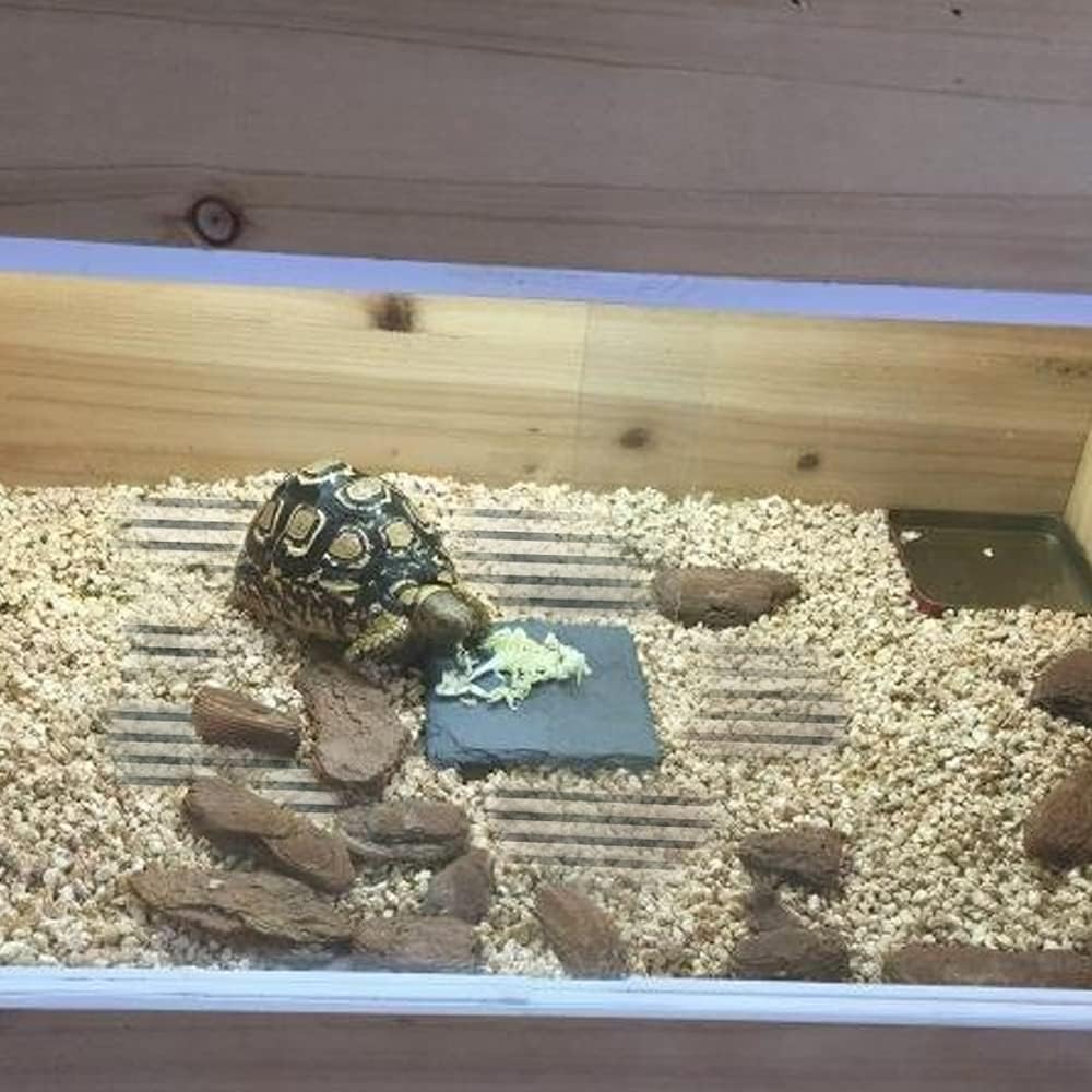 Bearded dragon resting near APlayfulBee heat mat in enclosure