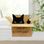 AMINORD cat birthday card shown with matching envelope