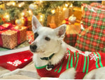 NACOCO winter pet sweater medium size showing chest flexibility