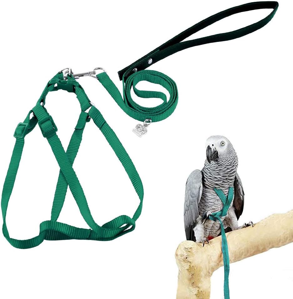 Asocea adjustable green bird harness and leash front view