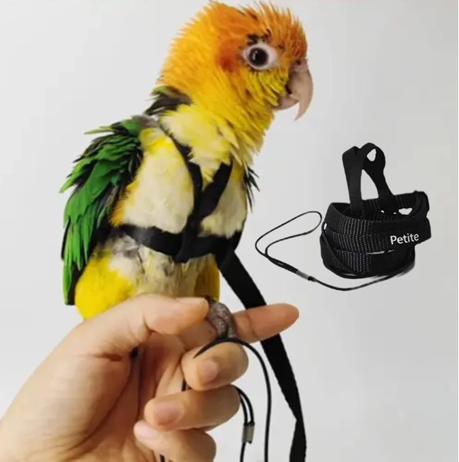 Barn Eleven adjustable bird harness petite size front view