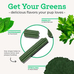 Close up of peppermint flavored dental stick for dogs