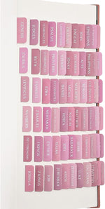 Bible Tabs, Laminated Bible Book Tabs for Women and Men, Blue | Bible Study Supplies, Large Print Bible Labels Index Tabs for Journaling Bible, Bible Accessories for Study Bible - Image 10