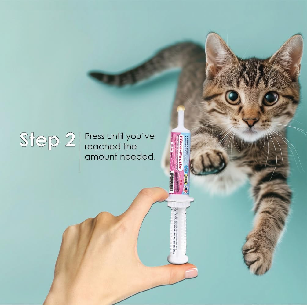 Oral Paste for Dogs & Cats-Helps Reduce Occasional Loose Stool & Diarrhea, Balance Gut pH, Support Normal Digestion & Intestinal Flora-Fast Acting (15 CC - Tasty Chicken Flavor) - Image 9