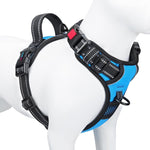 Reflective properties of Phoepet dog harness in low light
