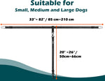 PetBonus safety lead showing reflective stitching detail