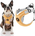 Gooby green dog vest showing scratch resistant outer layer and alloy d ring