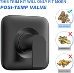 Kandent Genta LX matte black shower trim kit angle view