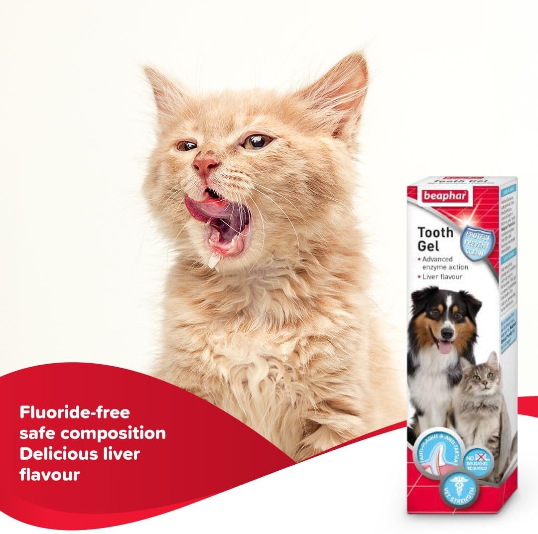 Authentic Beaphar tooth gel tube for dogs and cats oral health