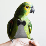 Balacoo avian flight suit lining demonstrating the leak proof design for clean home environments.