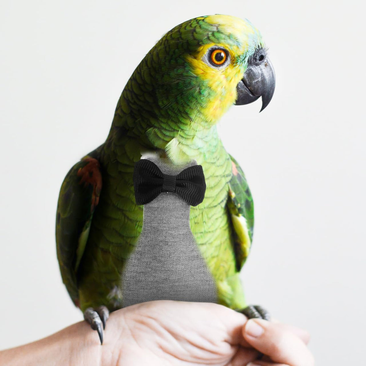 Balacoo avian flight suit lining demonstrating the leak proof design for clean home environments.
