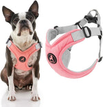 Gooby dog harness packaging and brand label details for authenticity