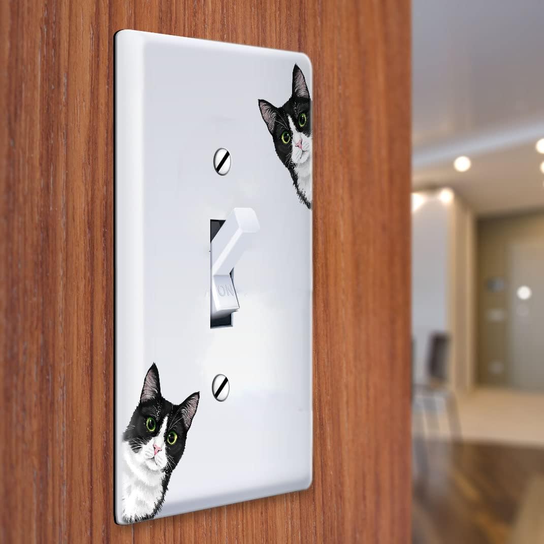 WIRESTER single gang switch cover angled view