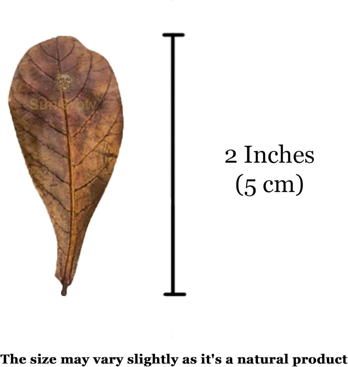 SunGrow aquarium water conditioner leaves releasing beneficial tannins for betta fish