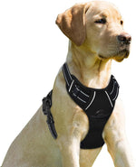 BARKBAY No Pull Dog Harness Front Clip Heavy Duty Reflective Easy Control Handle for Large Dog Walking(Black,L) - Image 13