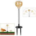 Moyardow interactive chicken peck toy front view showing the transparent feed ball and ground spring base