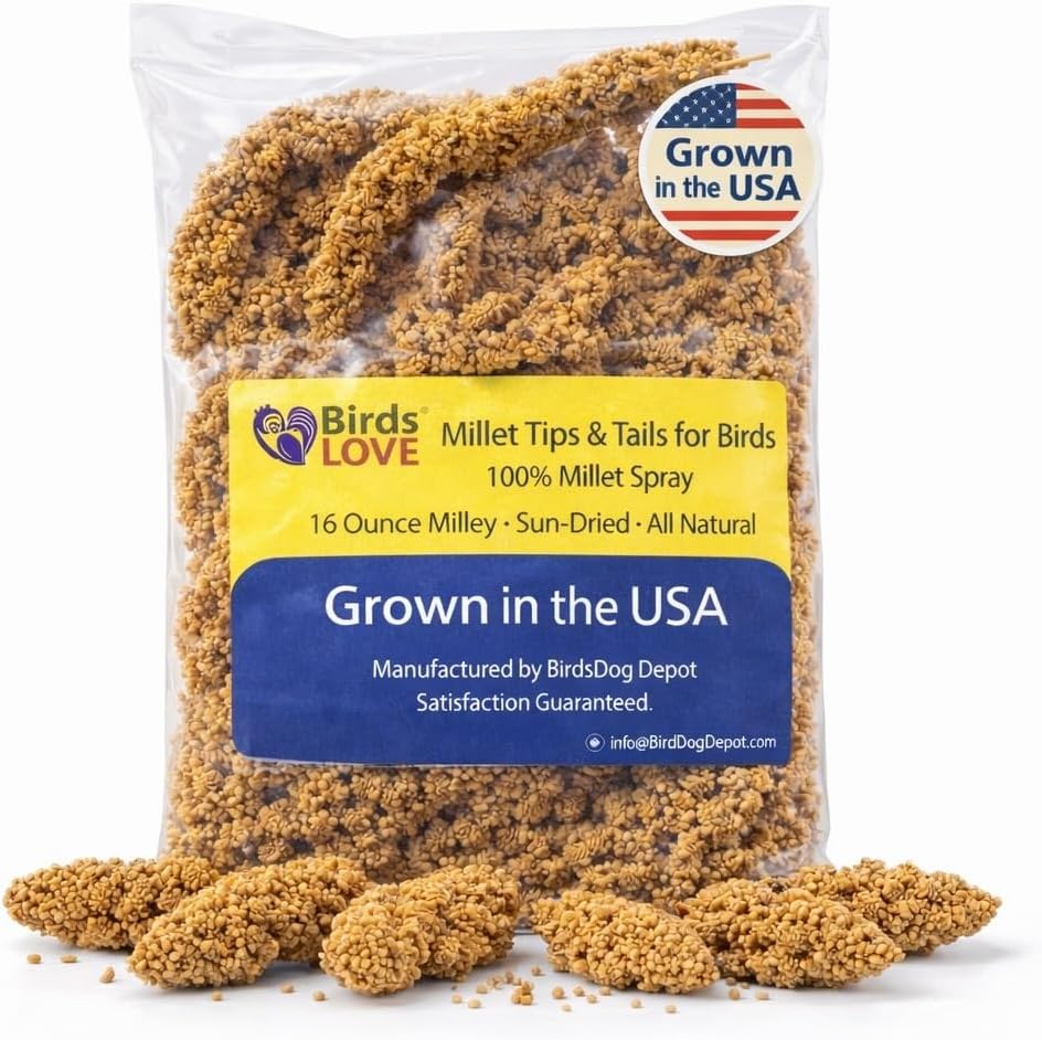 Birds LOVE(R) Economy Spray Millet for Birds, 7 oz, GMO-Free Natural Millet Spray Treat, Stem-Reduced Edible Tops, Grown in USA, for Parakeets, Cockatiels, Lovebirds, Finches, Canaries & Small Parrots - Image 11