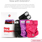 Pet Parents female doggie diapers with adjustable extendrs closures packaging