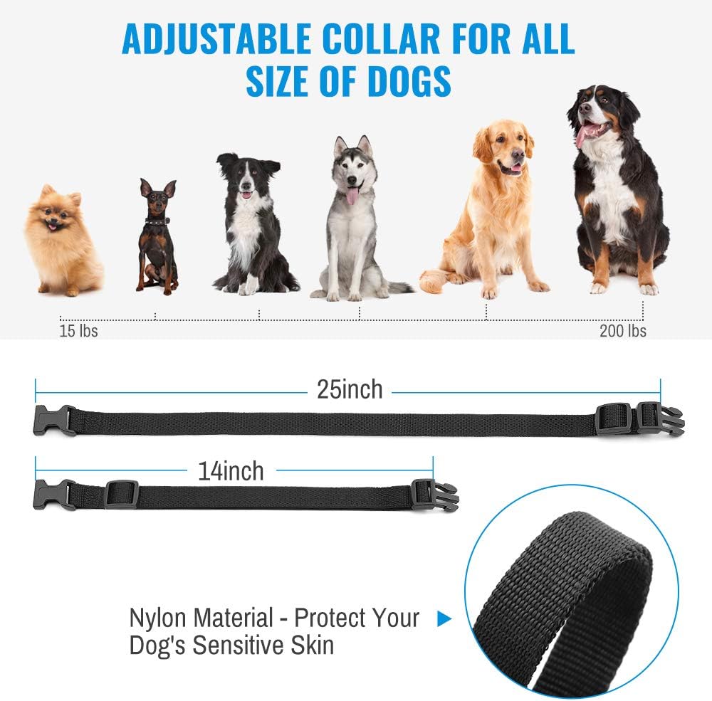 Petrainer PET998DRB1 training collar accessories package