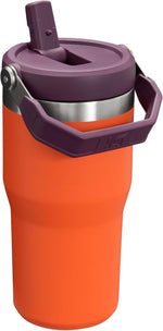 Stanley IceFlow twenty ounce stainless steel tumbler with folding handle and leak resistant lid