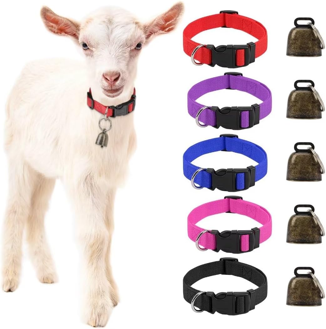Gindoor 5 pack goat collars with bells front view showing five colorful nylon neck straps