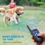 Petrainer dog training collar transmitter and receiver set
