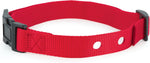 PetSafe 1 inch replacement dog collar strap in red