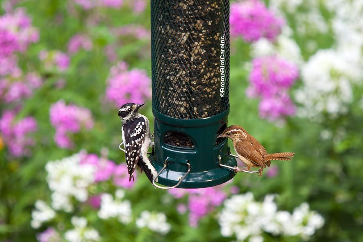 Brome bird feeder assembled green design