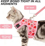 Bingpet lightweight breathable pet vest harness with quick release safety buckle