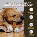 Bully Bunches rawhide free dental dog treat packaging